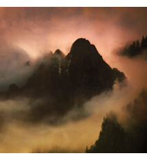 Metal Dead To A Dying World - Elegy (VG++/NM)