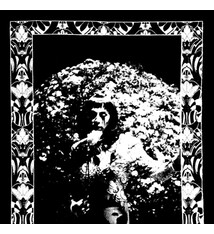 Rock/Pop Cindy Lee - Model Express