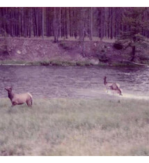 Rock/Pop Seahaven - Ghost/Acoustic (2011 Blue Marble) (VG+/NM)