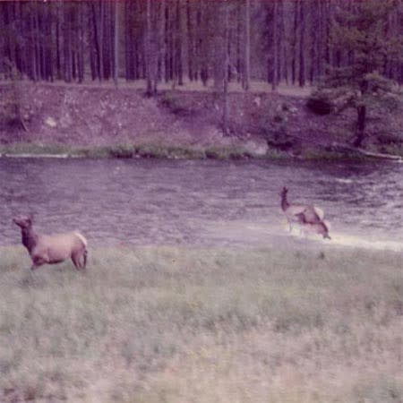 Rock/Pop Seahaven - Ghost/Acoustic (2011 Blue Marble) (VG+/NM)