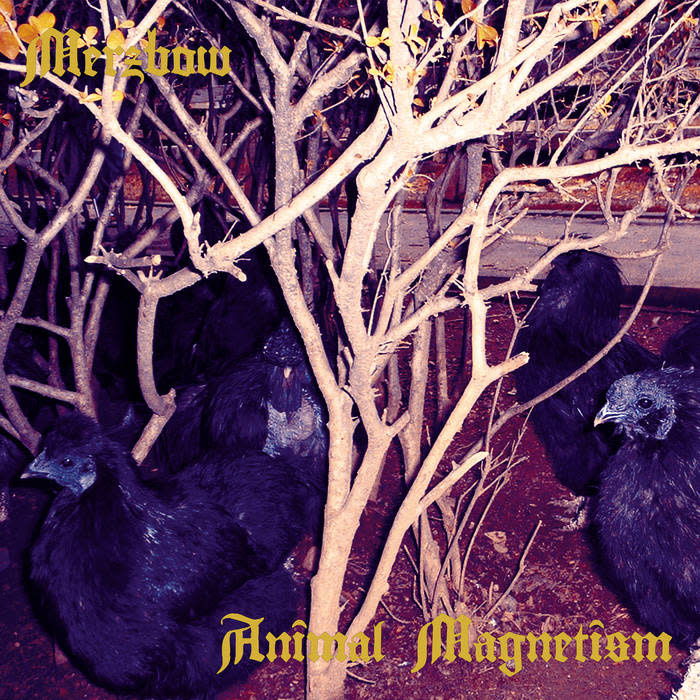 Experimental Merzbow - Animal Magnetism (February 27, 2026)