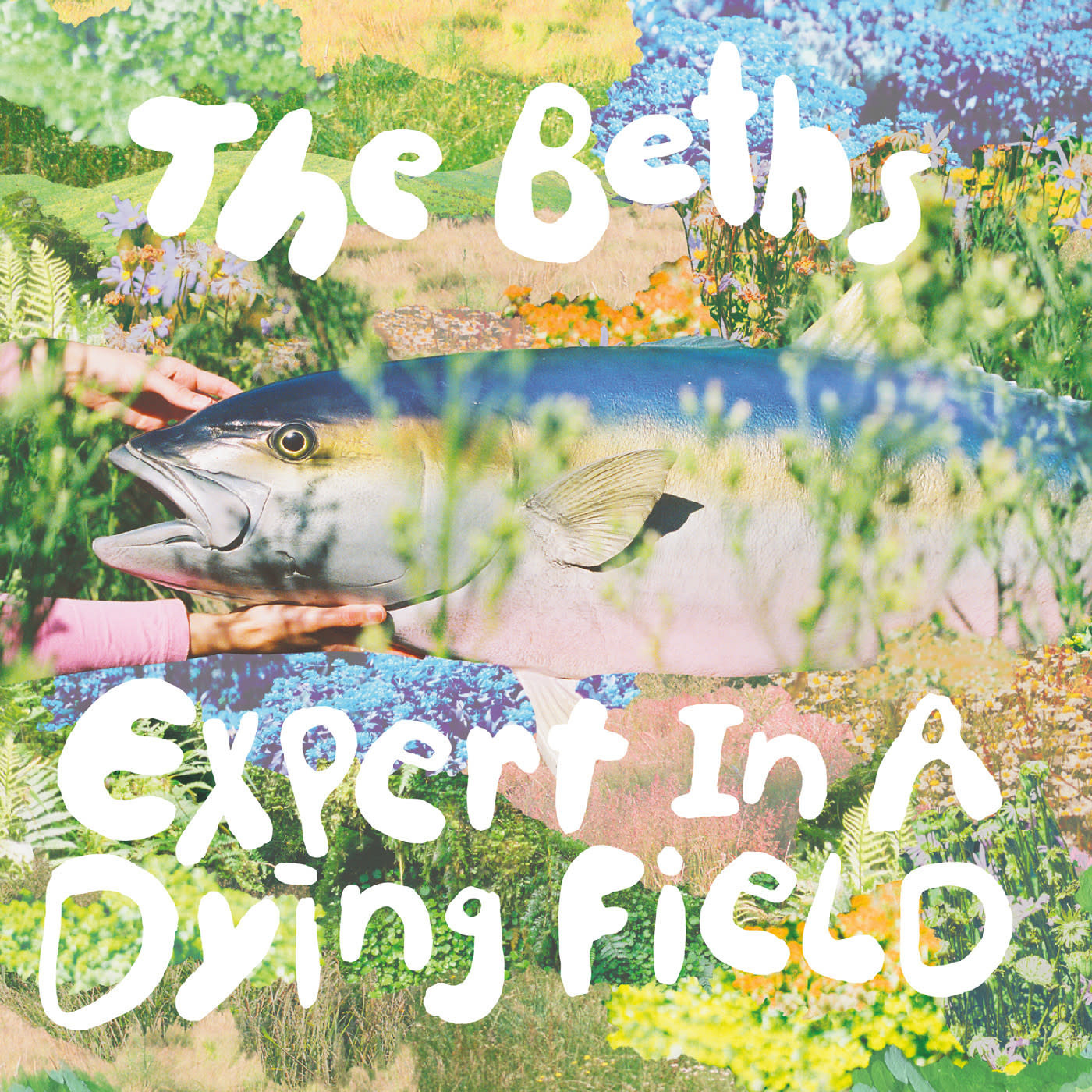 Rock/Pop The Beths - Expert In A Dying Field ("Head In The Clouds" Blue Eco-Mix Reissue) (April 3, 2026)