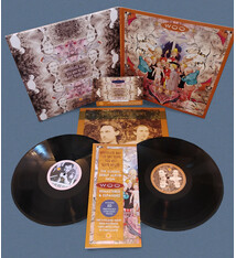 Rock/Pop Woo - Whichever Way You Are Going, You Are Going Wrong (2LP Expanded Edition) (Coming Soon)
