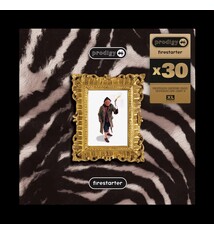 Electronic Prodigy - Firestarter (x30)