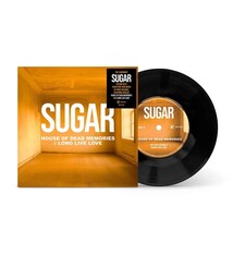 Rock/Pop Sugar - The House Of Dead Memories b/w Long Live Love 7" (May 1, 2026)