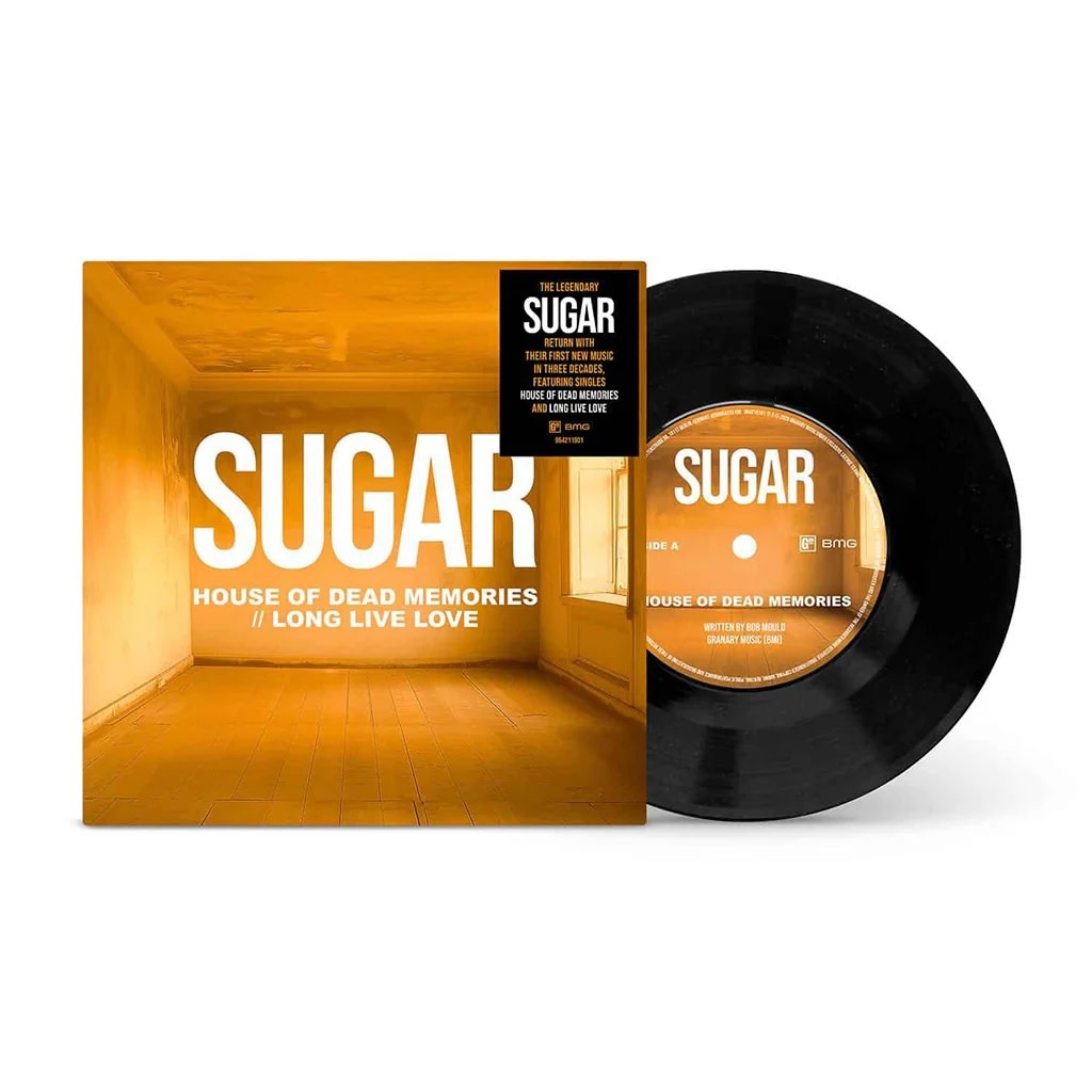 Rock/Pop Sugar - The House Of Dead Memories b/w Long Live Love 7" (May 1, 2026)