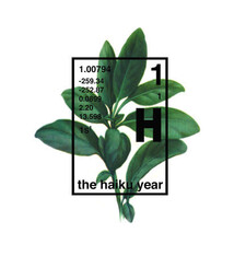 Poetry & Lyrics The Haiku Year - Tom Gilroy, Anna Grace, Jim McKay, Douglas A. Martin, Grant Lee Philips, Rick Roth, Michael Stipe