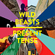 Rock/Pop Wild Beasts - Present Tense (NM/VG+)