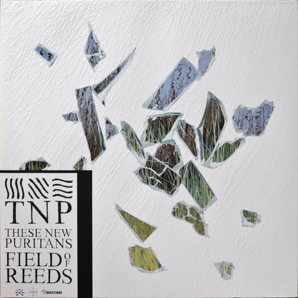 Rock/Pop These New Puritans - Field Of Reeds (2013 EU) (VG++/NM)