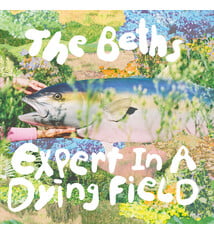 Rock/Pop The Beths - Expert In A Dying Field ("Head In The Clouds" Blue Eco-Mix Reissue)