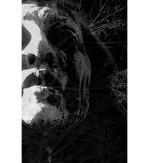 Metal Insidious Omen - To Cast The Last Shadow