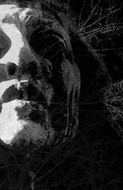 Metal Insidious Omen - To Cast The Last Shadow