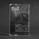 Metal Gulguhk - ...Et Flotteront Les Restes De Ce Monde Lugubre