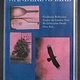 Metal Wandering Bird - Promo MMXXV