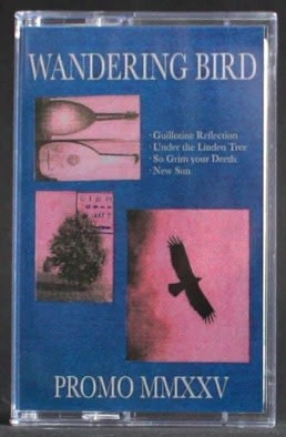 Metal Wandering Bird - Promo MMXXV