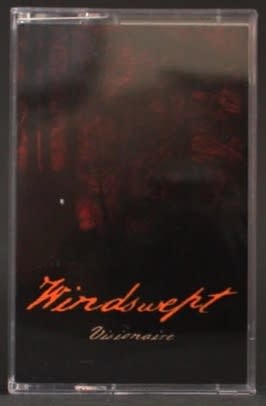 Metal Windswept - Visionaire