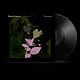 Rock/Pop Daniel Lanios - Belladonna Nocturne (June 19, 2026)
