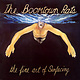 Rock/Pop The Boomtown Rats - The Fine Art Of Surfacing ('79 CA) (VG+/VG+)