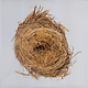 Rock/Pop Wilco - A Ghost Is Born (2011 Gatefold Reissue) (NM/NM)
