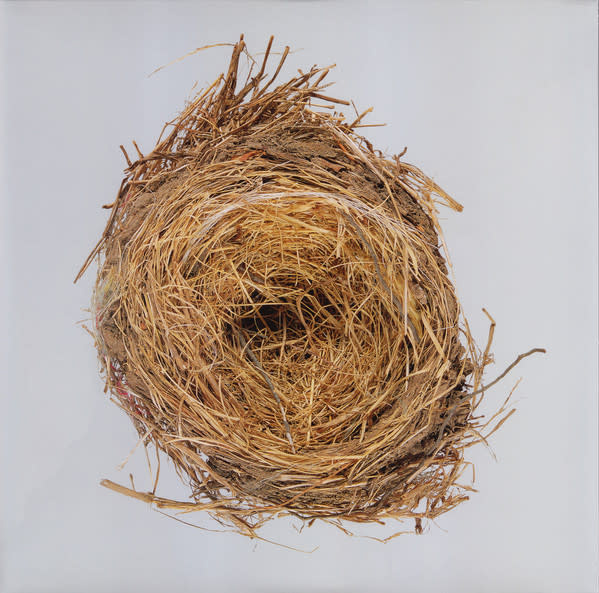 Rock/Pop Wilco - A Ghost Is Born (2011 Gatefold Reissue) (NM/NM)