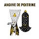 Rock/Pop Angine de Poitrine - Vol. I