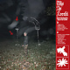 Rock/Pop This Is Lorelei - Box for Buddy, Box for Star (Super Deluxe 2LP Cherry Red Vinyl)