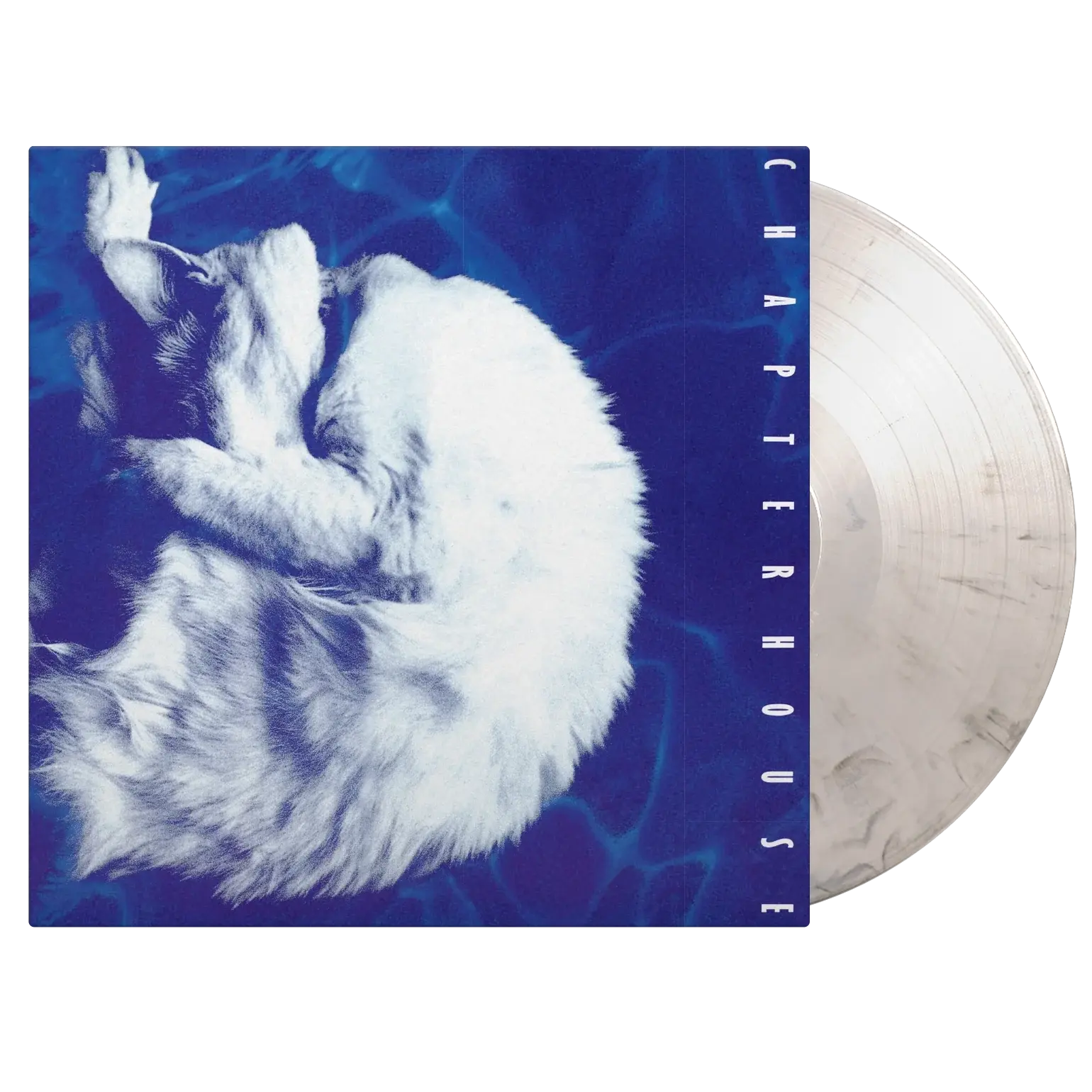 Rock/Pop Chapterhouse - Whirlpool (MOV 180g White/Black Marble Vinyl)