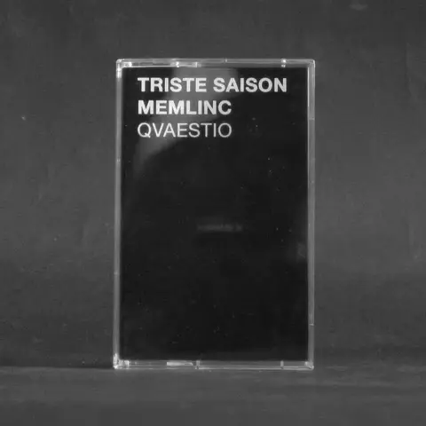 Electronic Triste Saison + Memlinc - Qvaestio