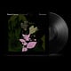 Rock/Pop Daniel Lanios - Belladonna Nocturne