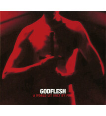 Industrial Godflesh - A World Lit Only By Fire (NEW CD)