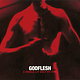 Industrial Godflesh - A World Lit Only By Fire (NEW CD)