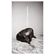 Rock/Pop Julia Holter - Materia (August 21, 2026)