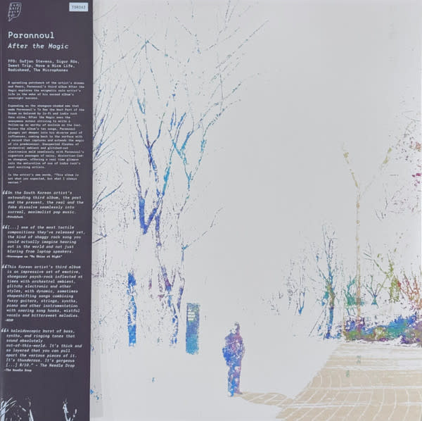 Rock/Pop Parannoul - After The Magic (2023 Blue/Green Insomnia Swirl) (VG++/VG+)