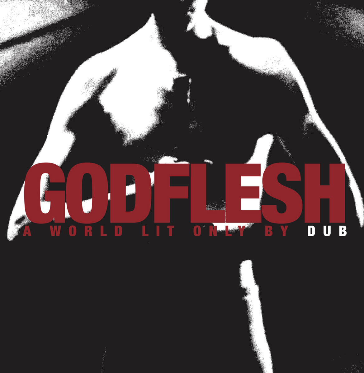 Industrial Godflesh - A World Lit Only By Dub (NEW CD)