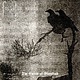 Metal Forgotten Woods - The Curse Of Mankind