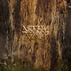 Rock/Pop Blitzen Trapper - Furr (2018 Green Hi-Melt Club Edition) (NM/NM)