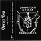 Electronic Disgraced Knight - True Valor