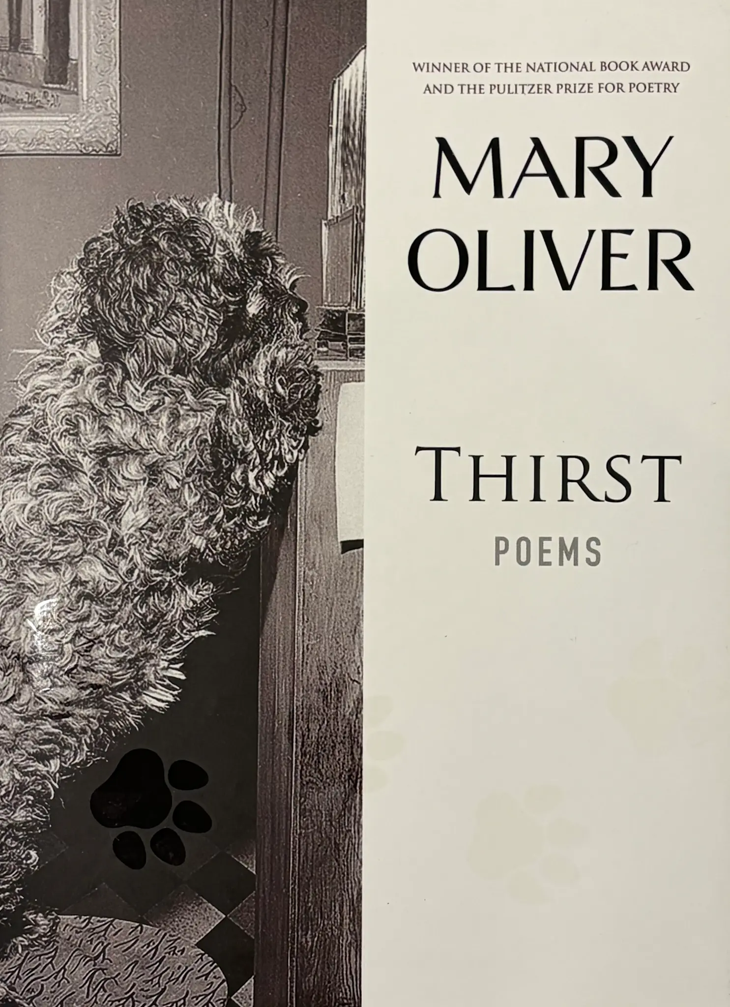 Poetry & Lyrics Thirst - Mary Oliver