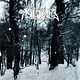 Metal Astrofaes - The Eyes Of The Beast