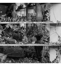 Experimental Windy & Carl Meet Optigan Conservatory - S/T (NEW CD) (September 4, 2026)