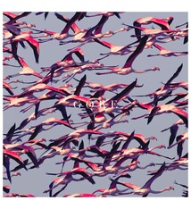 Rock/Pop Deftones - Gore