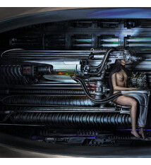 Electronic Arca - XXXXX (November 13, 2026)