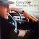 Electronic Greyboy - Mastered The Art (VG, few scratches on disc 2/VG+)