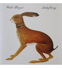 Folk/Country Vashti Bunyan - Lookaftering (NEW CD)