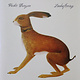 Folk/Country Vashti Bunyan - Lookaftering (NEW CD)