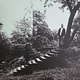 Rock/Pop Timber Timbre - S/T (VG+/NM)