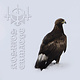 Metal Kaevum - Kosmos Erwache (USED CD)