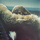 R&B/Soul/Funk Beyoncé - Lemonade (Yellow Vinyl) (VG+/VG, 2 in. top seam splits)