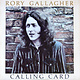 Rock/Pop Rory Gallagher - Calling Card ('76 CA) (VG/VG. spine-wear)