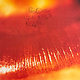 Rock/Pop The Cure - Kiss Me, Kiss Me, Kiss Me ('87 CA) (VG/VG)